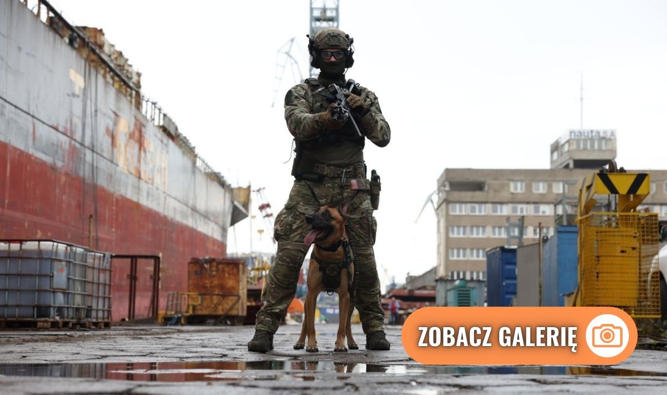 ćwiczenia kontrterrorystów i Straży Granicznej na Zatoce Gdańskiej