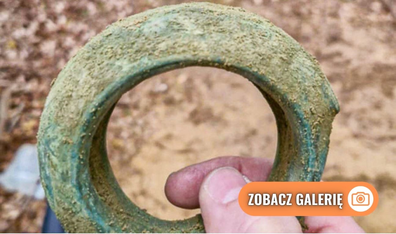 skarb z epoki żelaza odnaleziony w Nadleśnictwie Gdańsk
