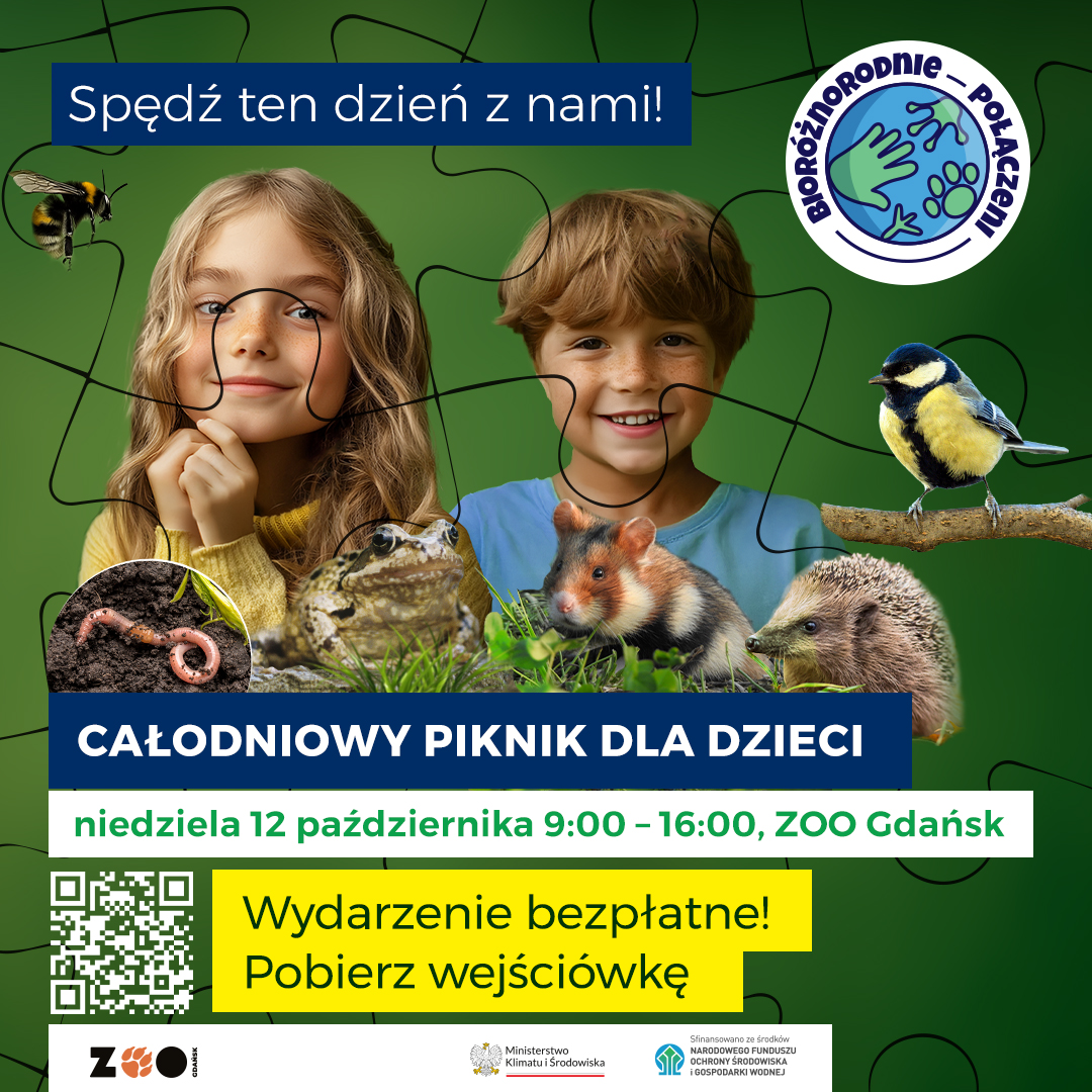 piknik w zoo w Gdańsku, plakat