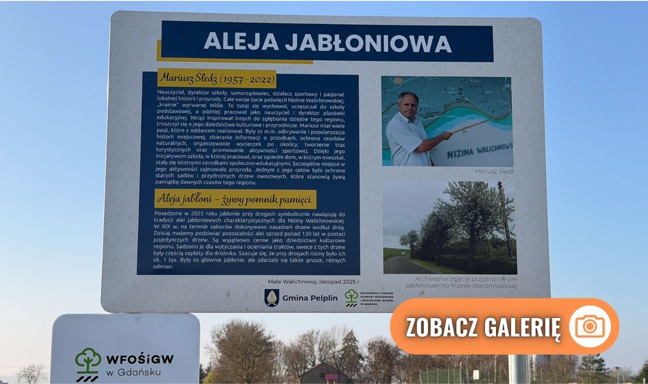 sadzenie Alei Jabłoni pamięci Mariusza Śledzia