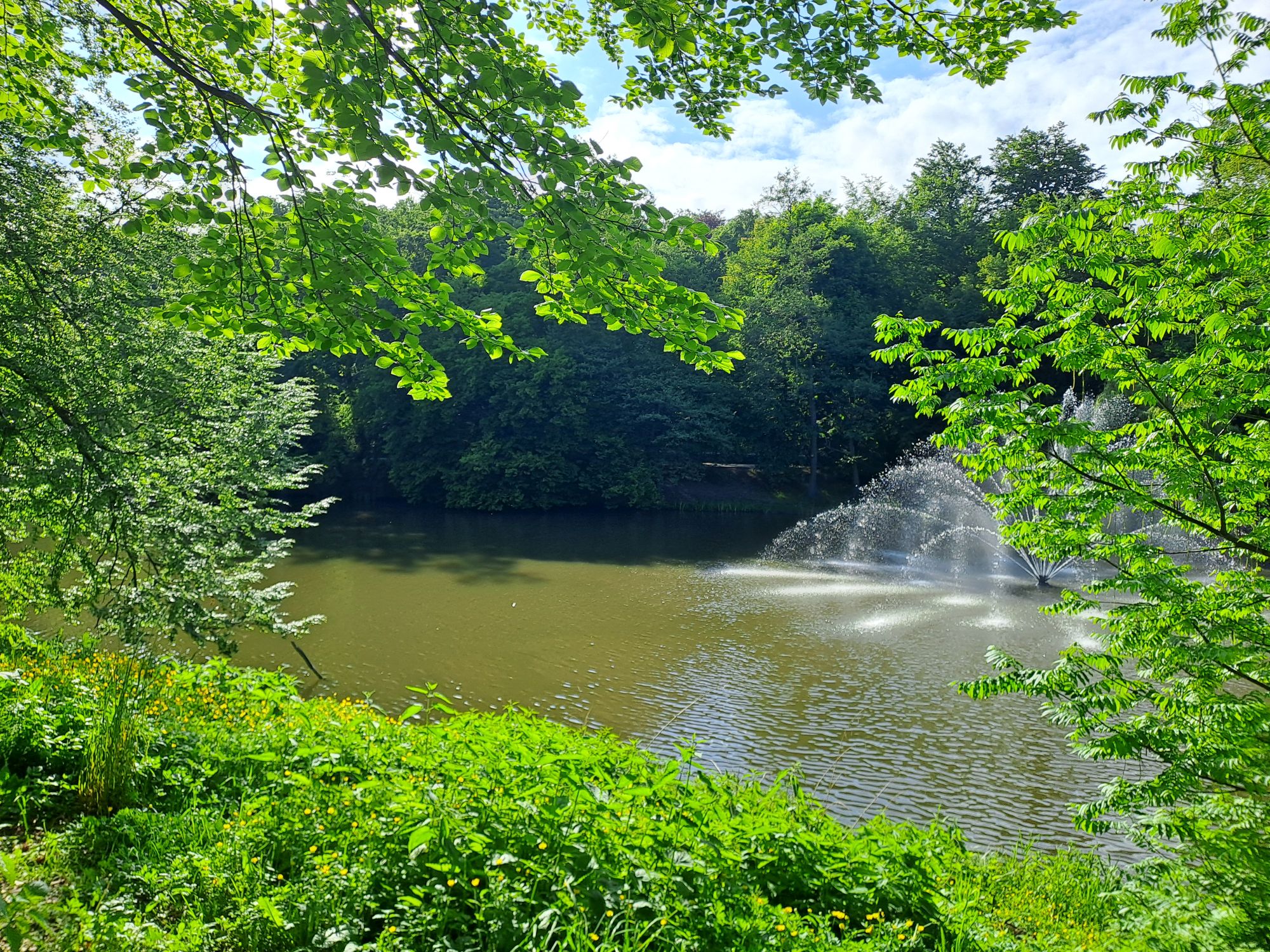 park Oruński w Gdańsku
