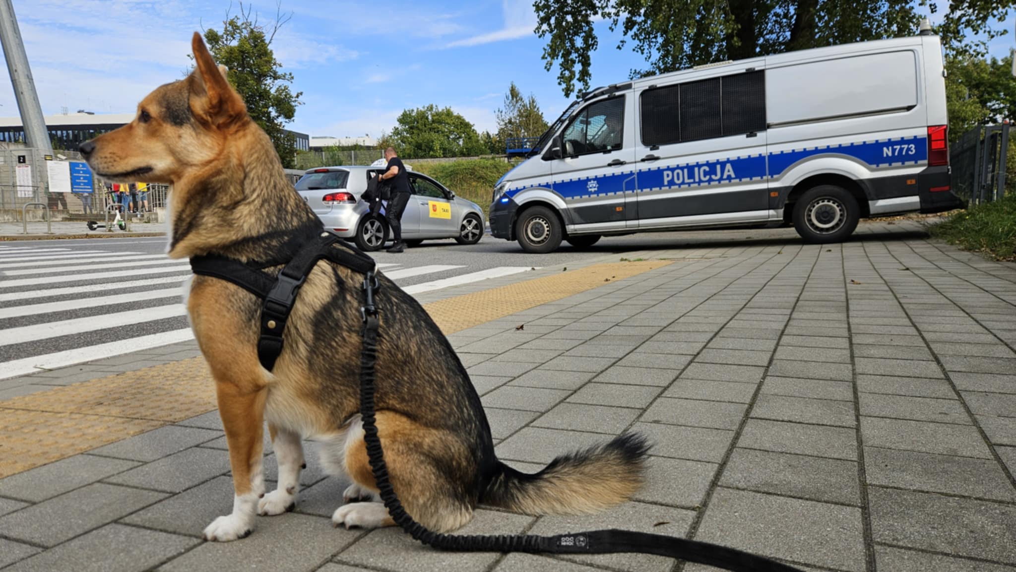 Lolek podczas policynej akcji