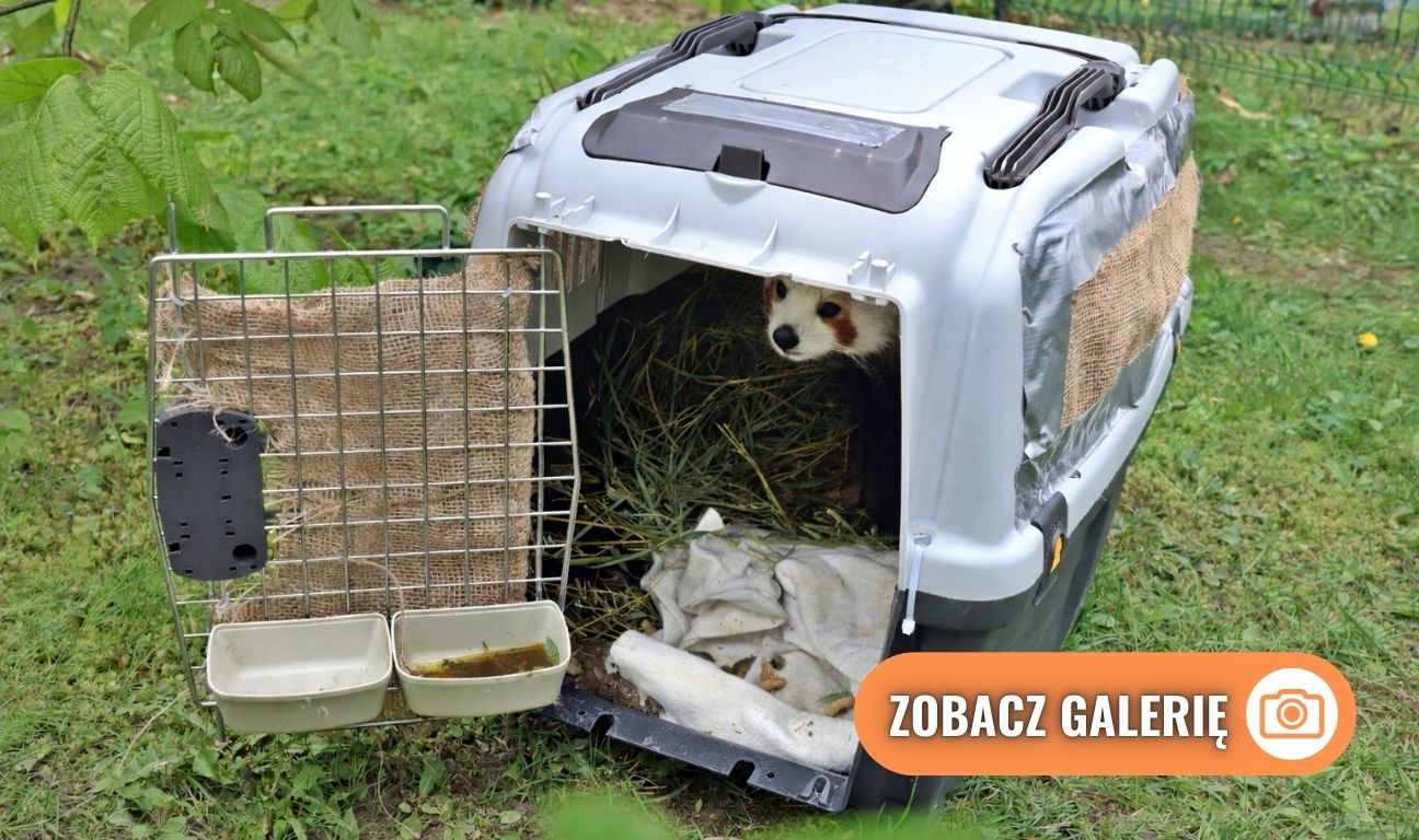 zoo Gdańsk, najważniejsze wydarzenia 2025