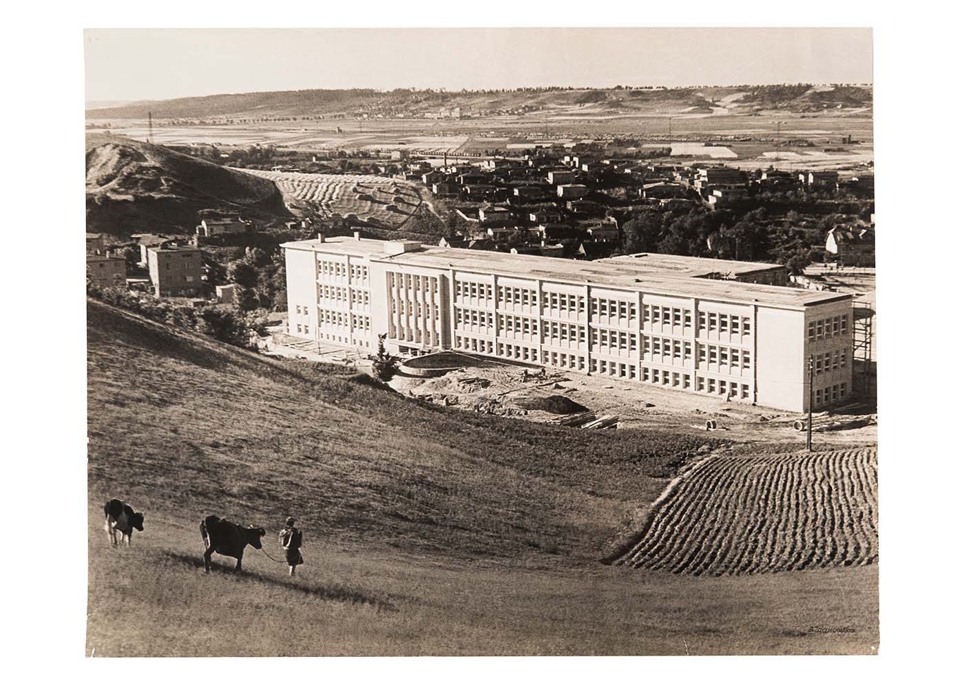  „Światło Gdyni”