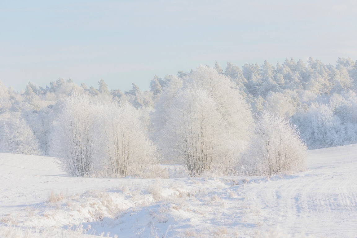 Kociewie w zimowej odsłonie, Edyta Lichy