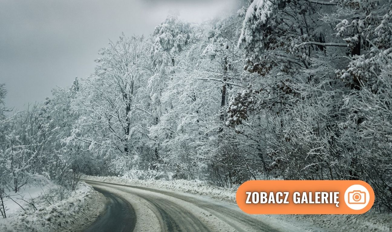 śnieżyca na Kaszubach, 2026