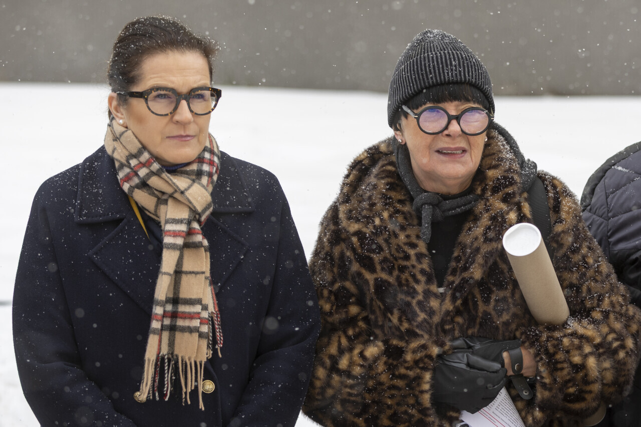 Aleksandra Dulkiewicz, Krystyna Janiszewska-Stryszak