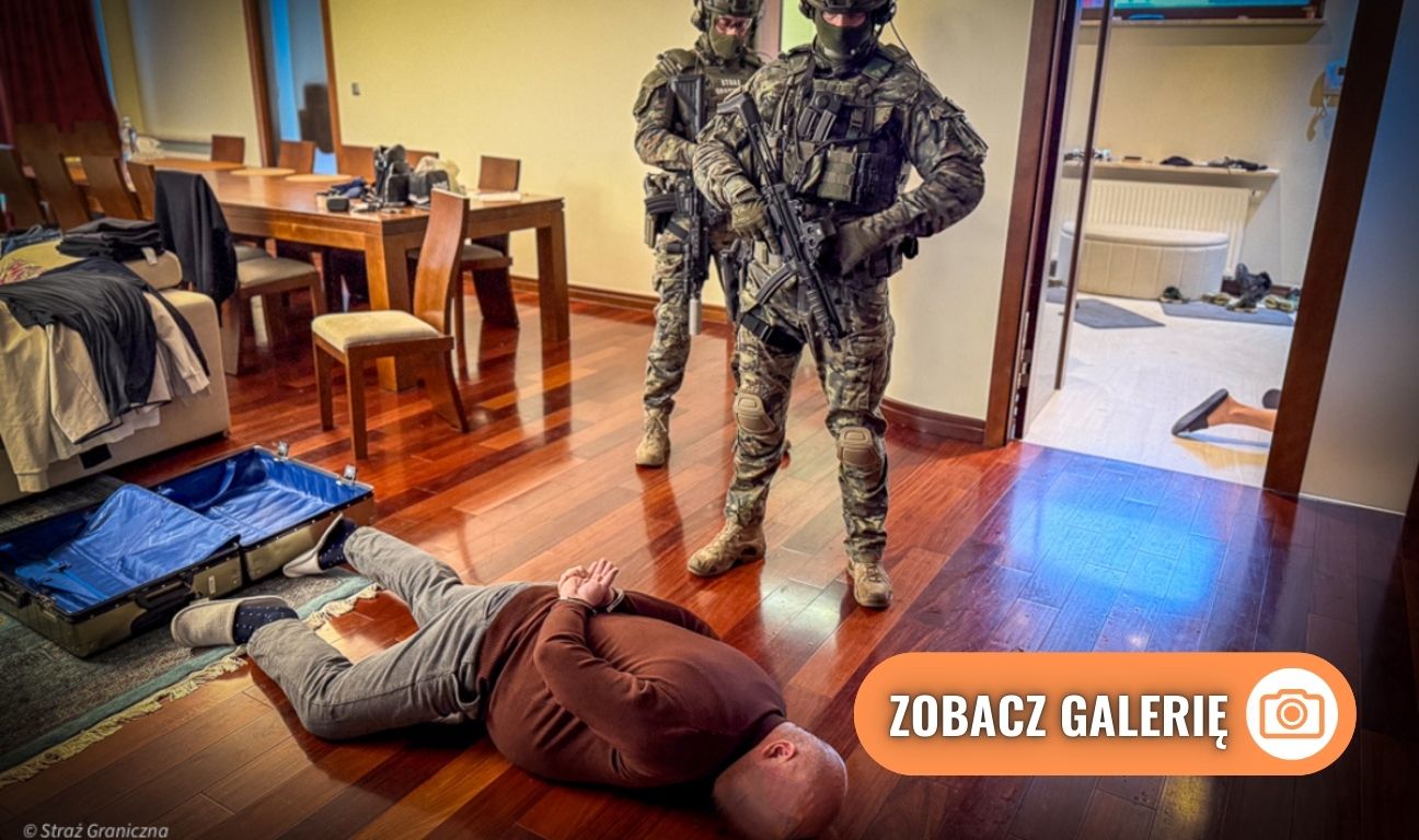 rozbicie grupy przestępczej, Gdańsk