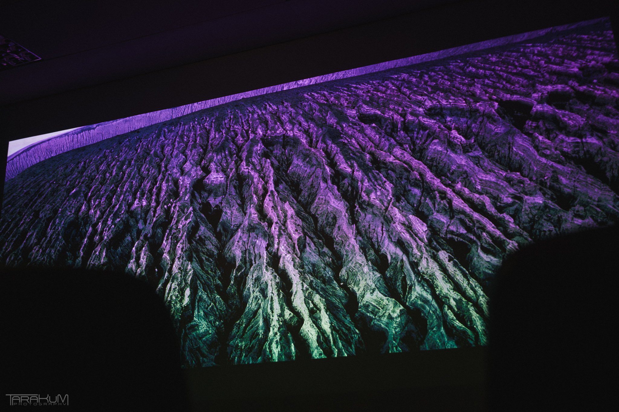 „W głębi: Żyjące morza, żyjące ciała”