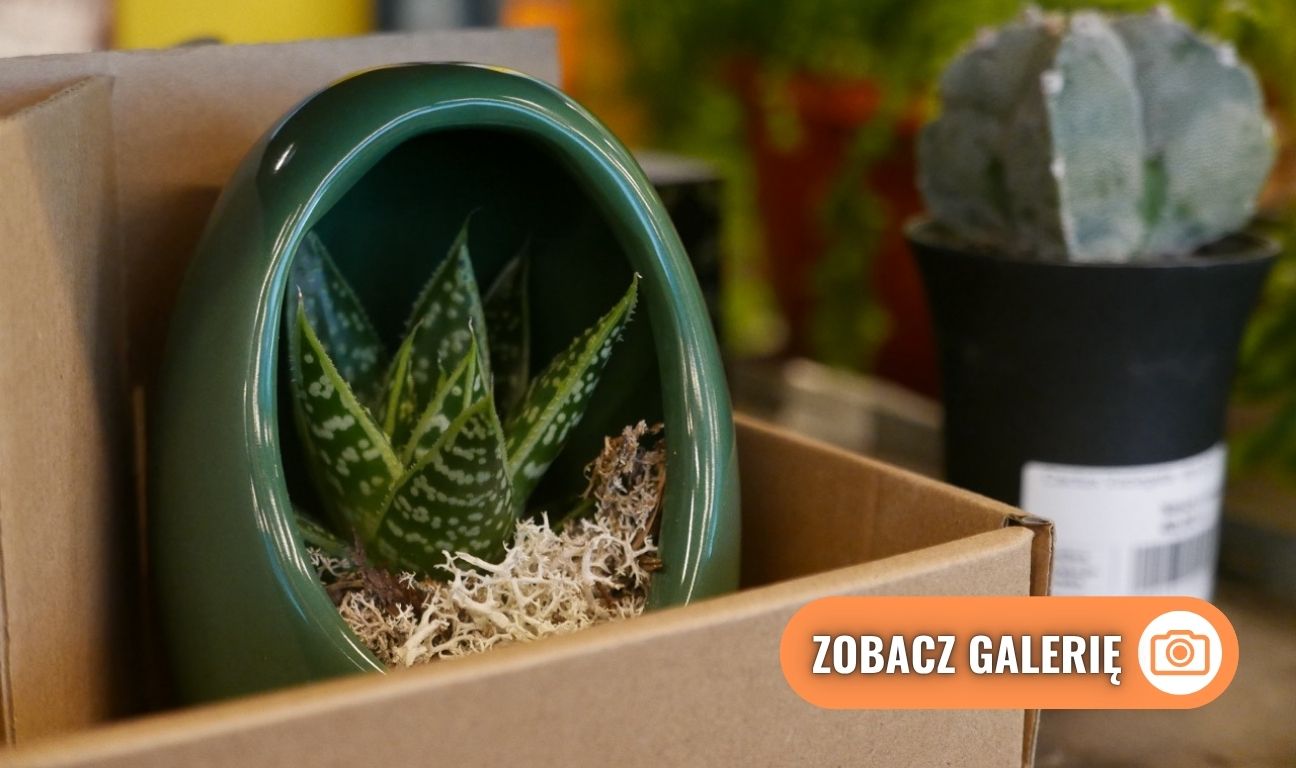 Festiwal Roślin 2026, Gdańsk