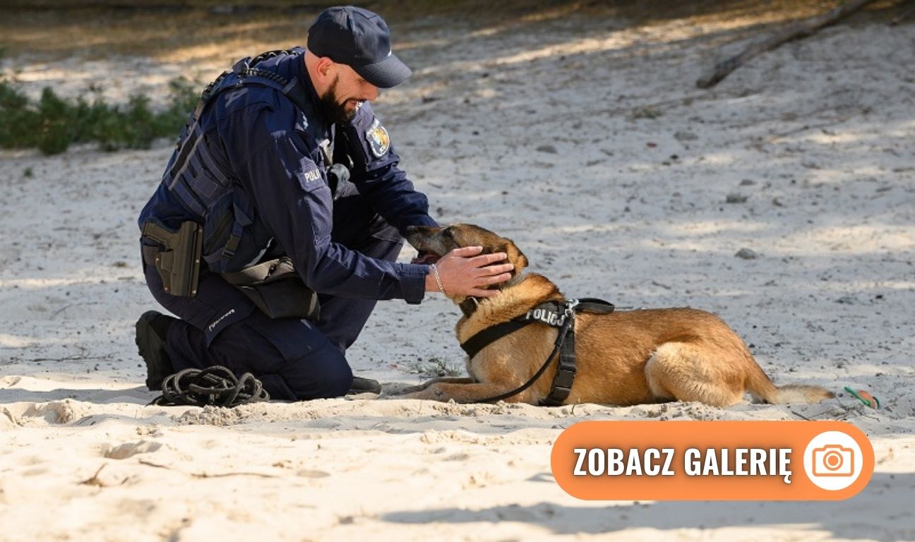 https://www.zawszepomorze.pl/galeria/2613,scooby-w-leborskiej-policji-zobacz-zdjecia-nowego-psa-sluzbowego