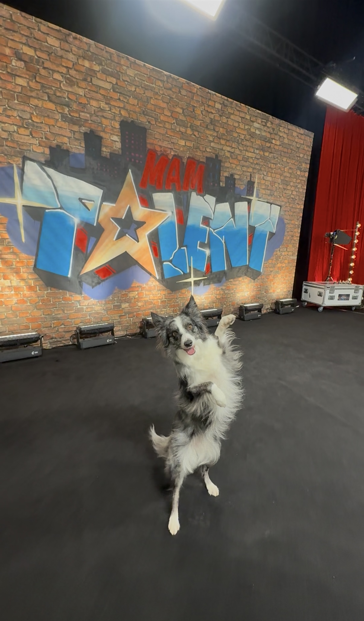 Dina, „Mam Talent!”