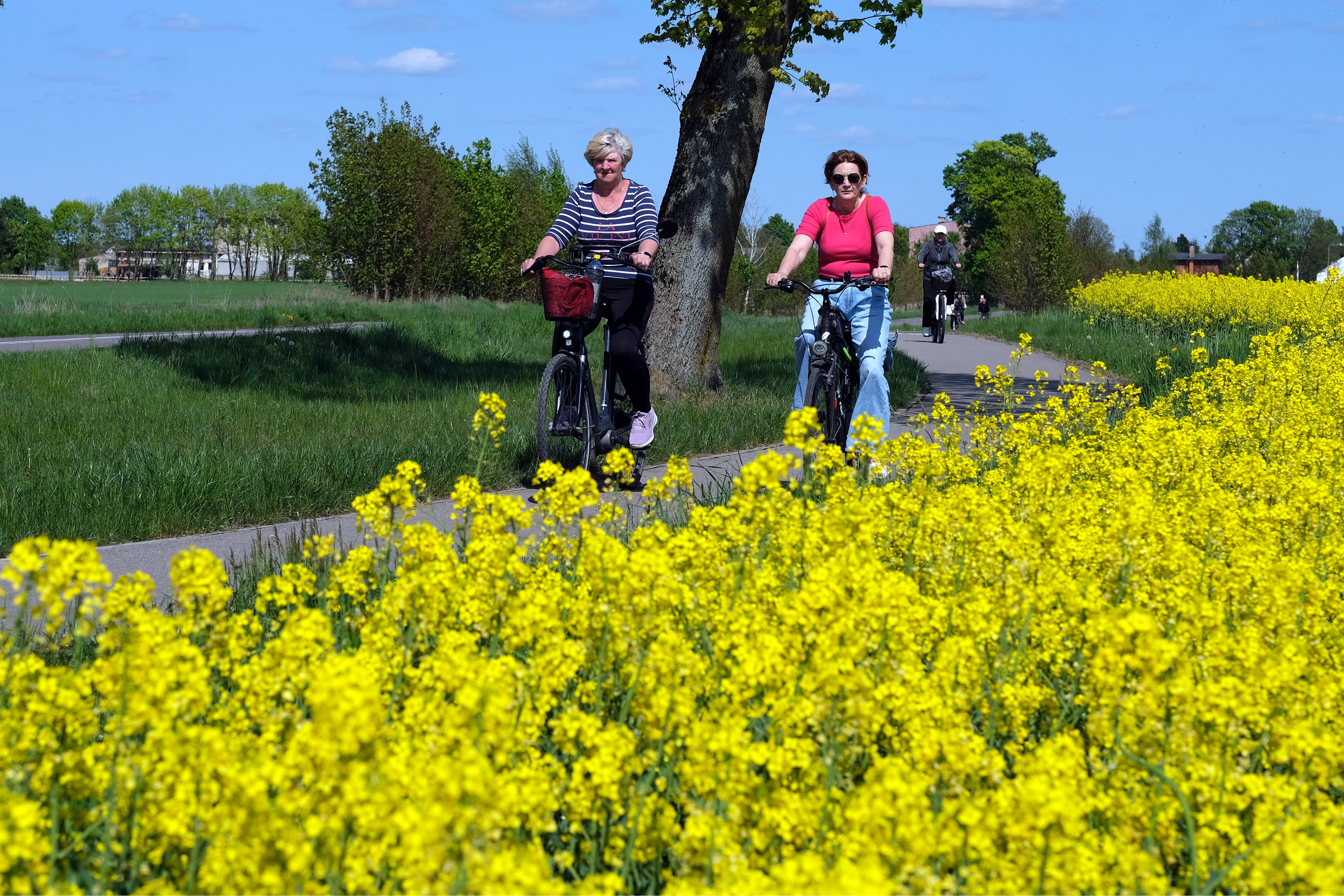trasy rowerowe na Pomorzu, rowerem po Pomorzu