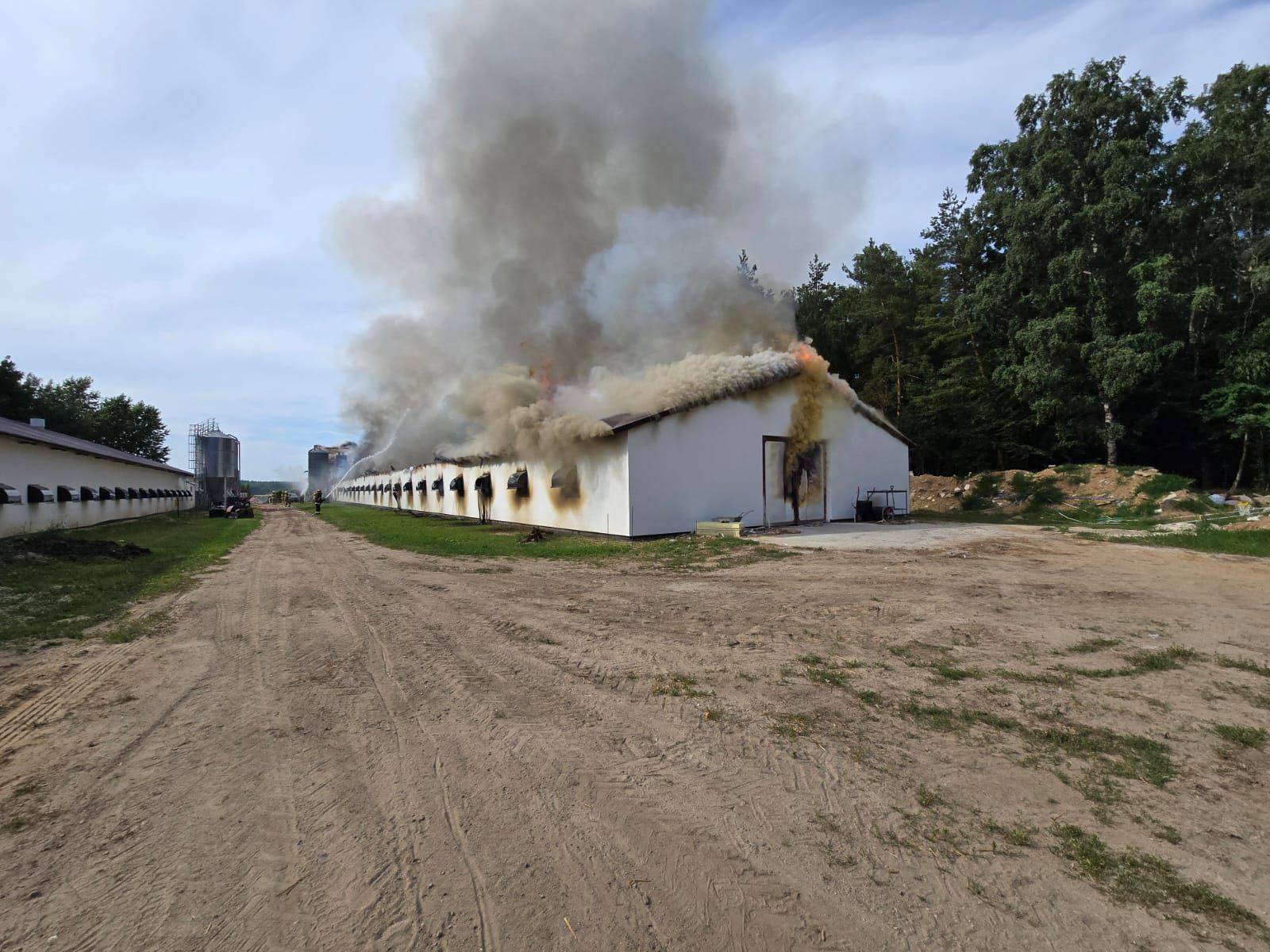 pożar kurnika, Kobysewo