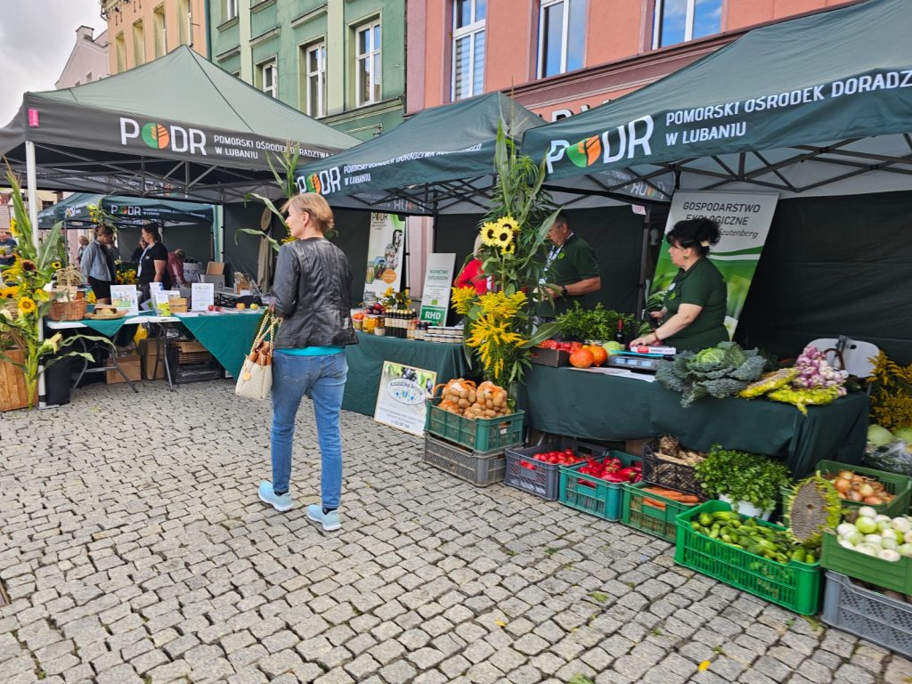 Pomorski EkoFestiwal, Kościerzyna
