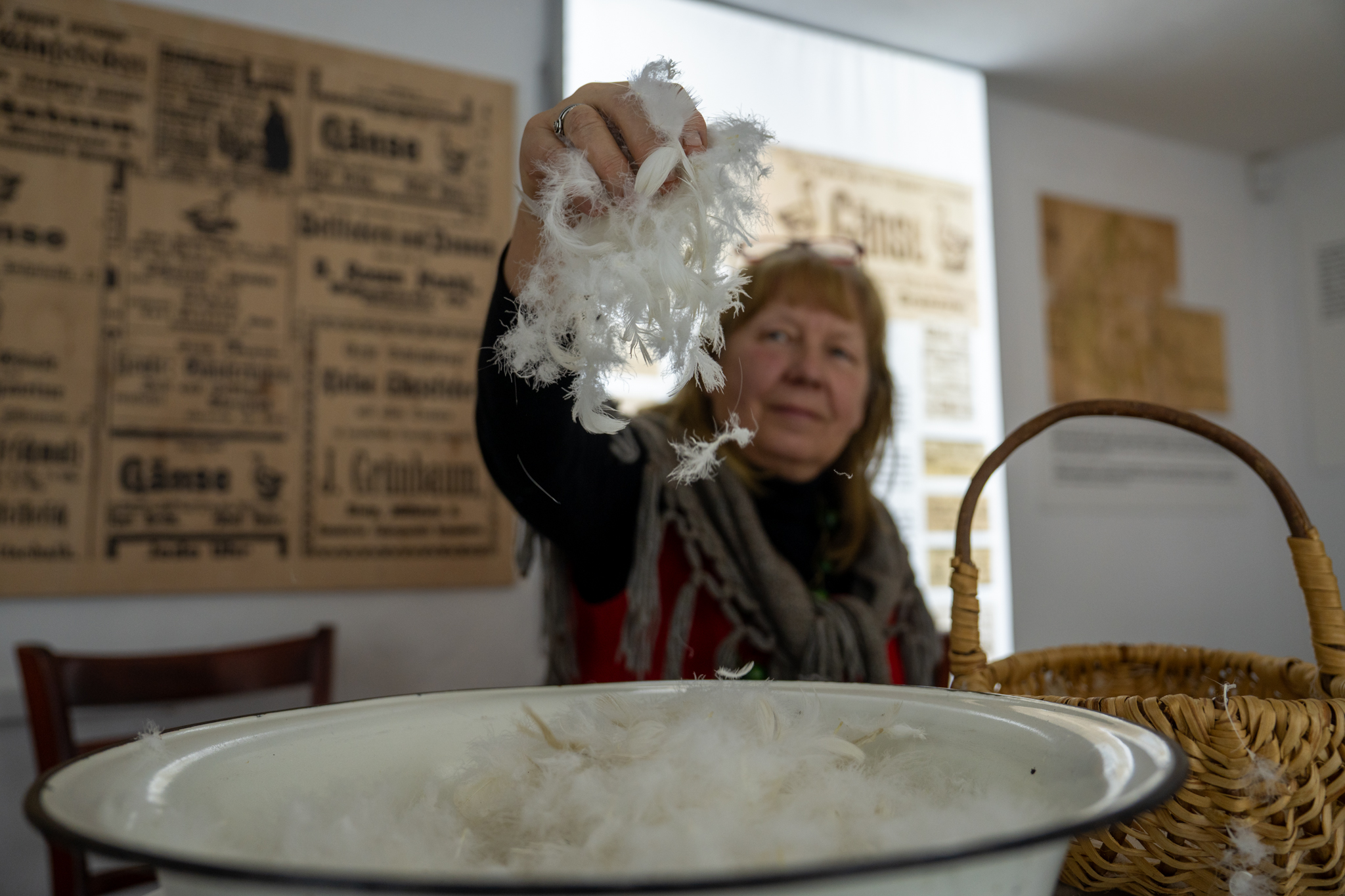 „Na św. Marcina najlepsza pomorska gęsina”, Swołowo