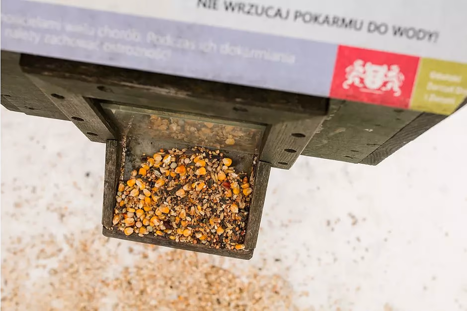 Kaczkomat, Gdański Zarząd Zieleni