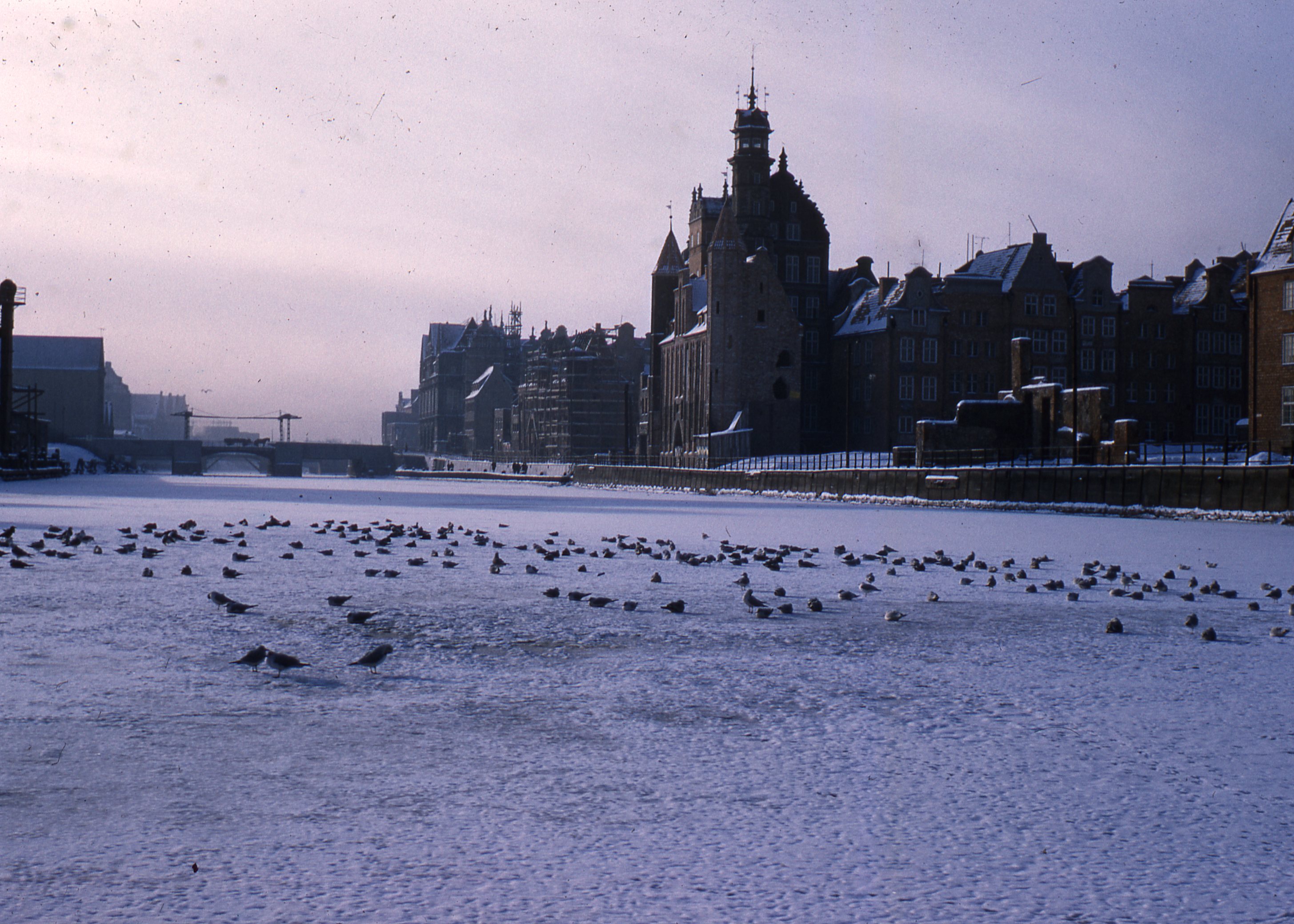 zima, Gdańsk