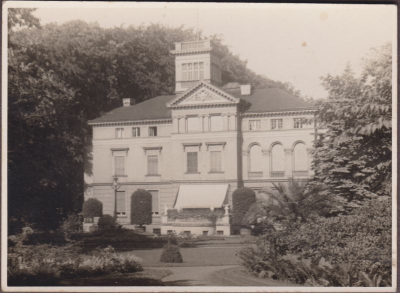 zieleń w Sopocie, archiwalne zdjęcie