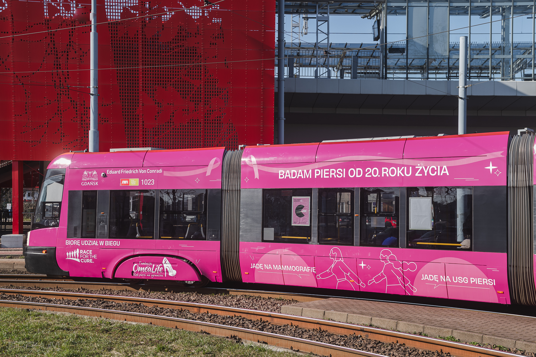 Różowy Tramwaj, Gdańsk, 2024