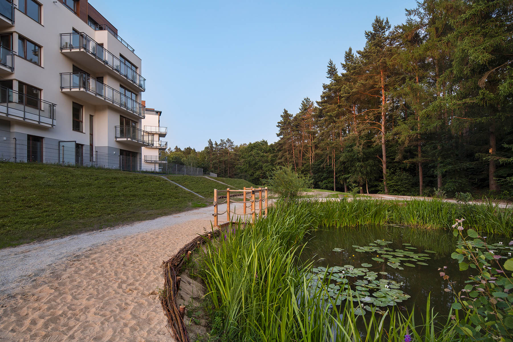 Sokółka Zielenisz Na Stoku, Gdynia