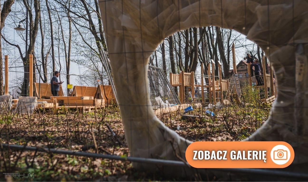 plac zabaw, domek na drzewie, Sopot 2025