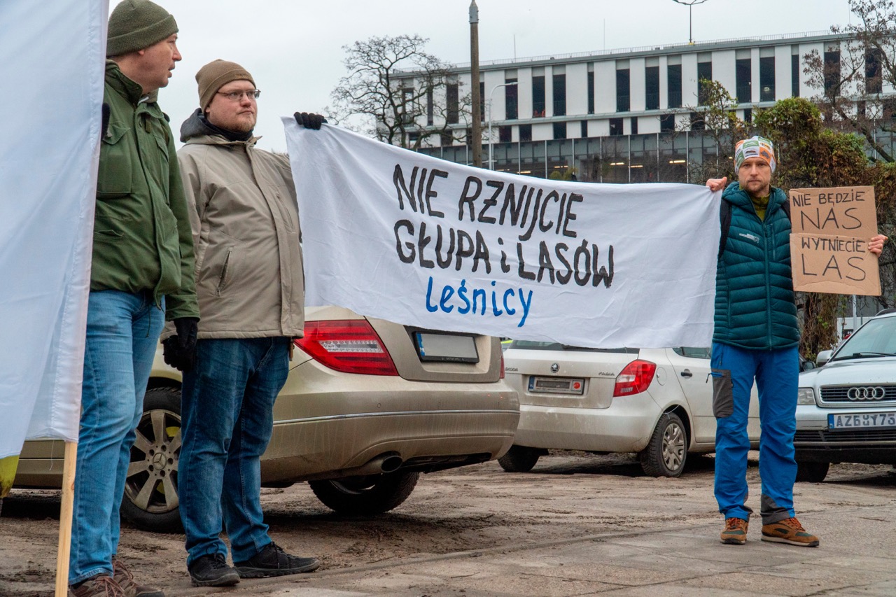 pikieta w obronie lasów Wyspy Sobieszewskiej, Gdańsk 2024