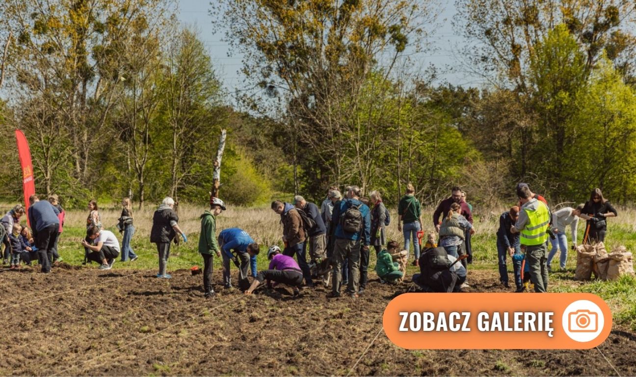 sadzenie lasu, Gdańsk 2024