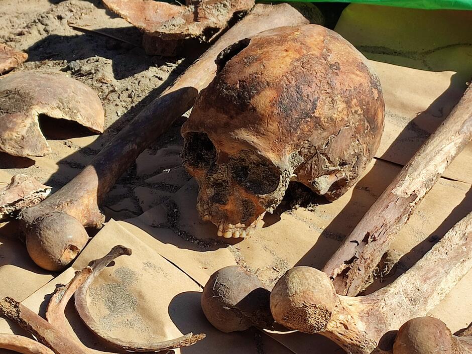 zbiorowy grob Stogi czaszka II wojna światowa