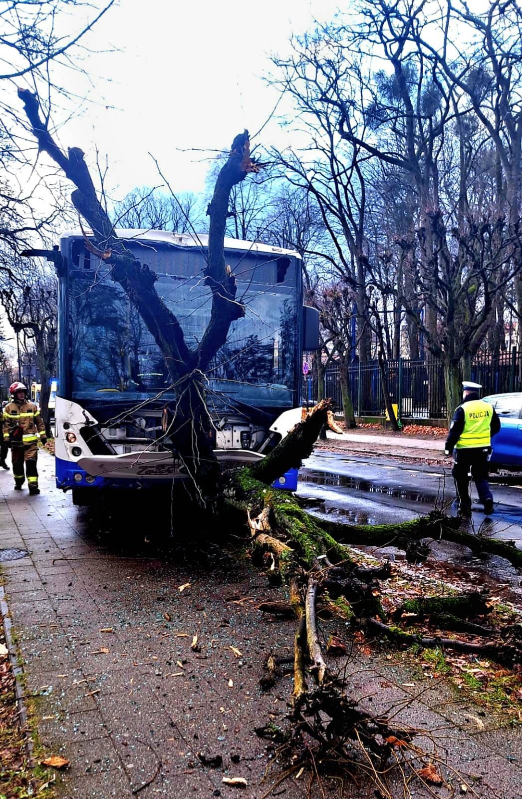 Wypadek autobusu w Sopocie